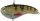 Berkley Flatt Shad 77 XH 21.7 g PERCH