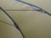Delphin MONZUN Master Horgász esernyő oldalfalakkal 250cm 3/4