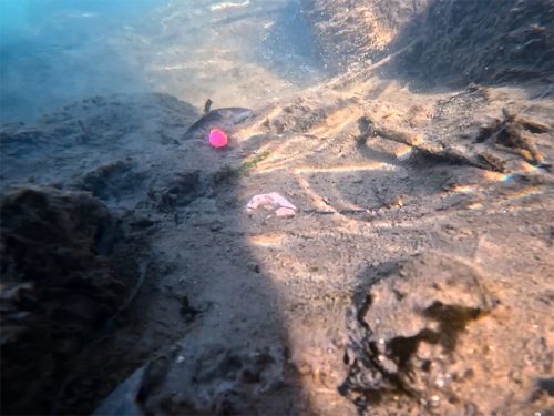 Delphin CyberBARBED TUBE ólomsúly 200g