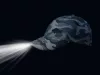 OutLINE Camo LED baseball sapka UNI