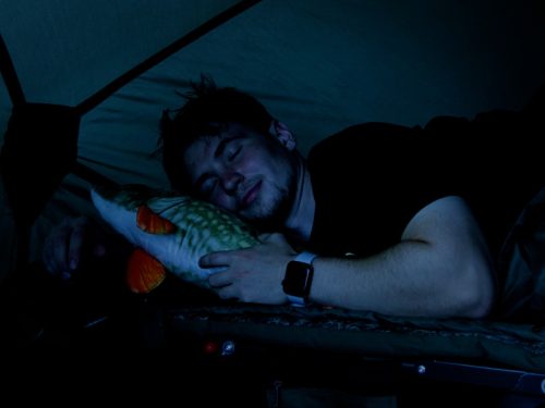 Delphin PIKY Plüss Csuka 60 cm