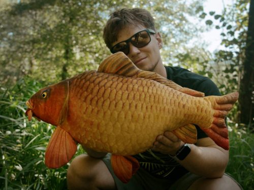 Delphin CARPY Plüss Ponty 60 cm