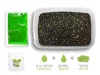 Pellet box Delphin Reaxe READY&GO Fokhagyma–Vajsav / 400g