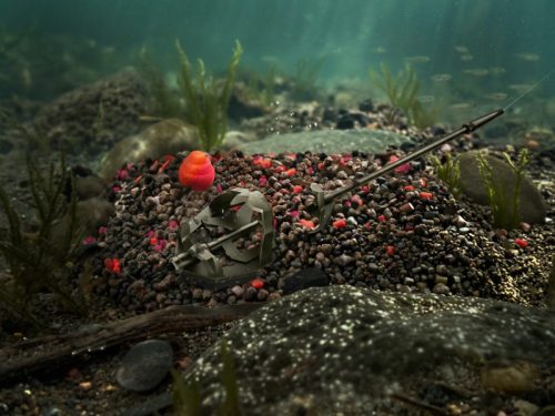 Pellet box Delphin Reaxe READY&GO Mangó–Őszibarack / 400g