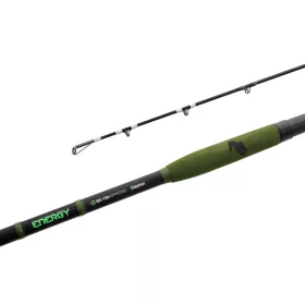 Delphin ENERGY Catfish 310cm/250-500g/2 rész