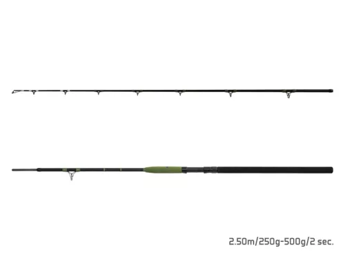 Delphin ENERGY Catfish 310cm/250-500g/2 rész
