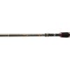 DAIWA Sweepfire Tele 2.10m 10-30g