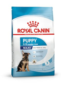 ROYAL CANIN SHN MAXI 26-45 kg PUPPY 1kg