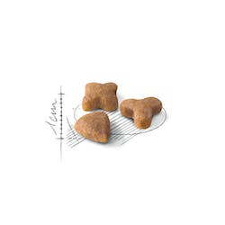 ROYAL CANIN FHN SENSIBLE 33 2kg