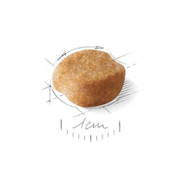 ROYAL CANIN BHN YORKSHIRE TERRIER ADULT 500g