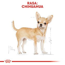 ROYAL CANIN BHN CHIHUAHUA ADULT 1,5kg