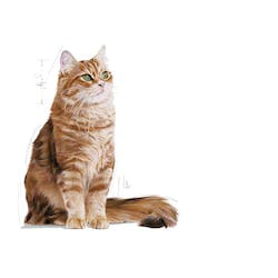 ROYAL CANIN FCN DIGESTIVE CARE 400g