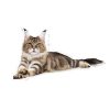 ROYAL CANIN FBN MAINE COON ADULT 400g