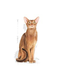 ROYAL CANIN FHN PROTEIN EXIGENT 42 400g