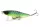 Berkley Pulse Racer 7cm 10g Firetiger