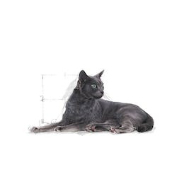 ROYAL CANIN FHN STERILISED 7+ 400g