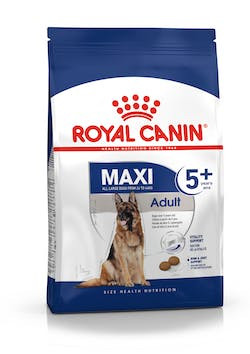 ROYAL CANIN SHN MAXI 26-45 kg ADULT 5+ 4kg