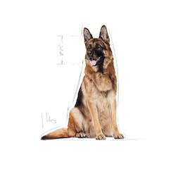 ROYAL CANIN SHN MAXI 26-45 kg ADULT 5+ 4kg
