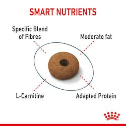 ROYAL CANIN FHN STERILISED APPETITE CONTROL 400g