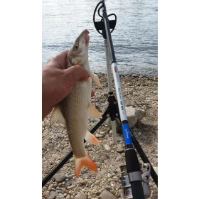 By Döme TF Big River 300 RXH 100-250g