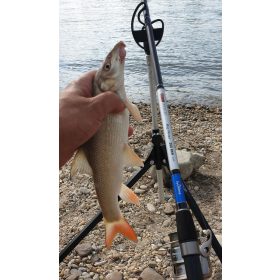 By Döme TF Big River 330 RXH 100-300g