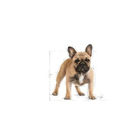 ROYAL CANIN BHN FRENCH BULLDOG ADULT 3kg