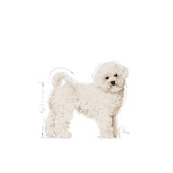 ROYAL CANIN BHN BICHON FRISE ADULT 1,5kg
