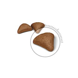 ROYAL CANIN FCN HAIRBALL CARE 400g