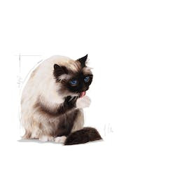 ROYAL CANIN FCN HAIRBALL CARE 400g