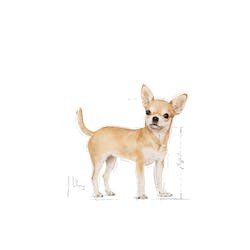 ROYAL CANIN BHN CHIHUAHUA ADULT 85g