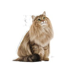 ROYAL CANIN ALU HAIRBALL CARE 85g