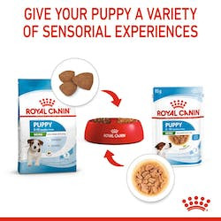 Royal Canin SHN Mini Puppy alutasakos, 85g