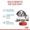 Royal Canin SHN Medium Puppy alutasakos, 140g