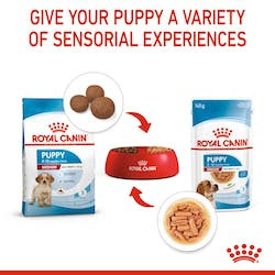 Royal Canin SHN Medium Puppy alutasakos, 140g