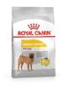 ROYAL CANIN CCN MINI DERMACOMFORT 1kg