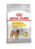 ROYAL CANIN CCN MINI DERMACOMFORT 8kg
