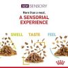 ROYAL CANIN FHN WET SENSORY SMELL JELLY 85G