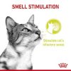 ROYAL CANIN FHN WET SENSORY SMELL JELLY 85G