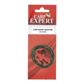 CARP EXPERT LEADCORE 45 LB 10 M