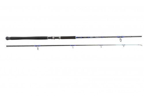 Ron Thompson Hard Core II Big Fish 9'6'' 290cm 200-300g