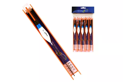 ZSEBPECA KAMASAKI A10 4G