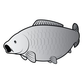Carp sticker SILVER 