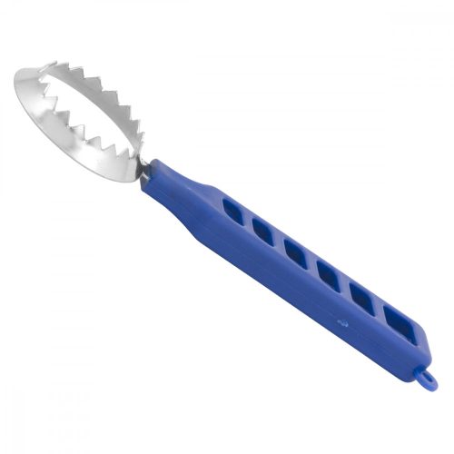 BLUE FISH SCALER WITH CARD