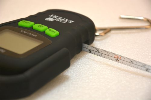 CARP EXPERT DIGITÁLIS MÉRLEG