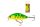 WIZARD GHOST MINNOW SLOW SINKING 2M 5CM 4G CT