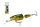 SALMO WOBBLER FRISKY  FR5DR HPH