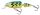 SALMO WOBBLER FRISKY FR7SR RHP