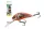 SALMO WOBBLER HORNET H5F SRO