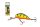 SALMO WOBBLER HORNET H5F UBH