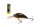 SALMO WOBBLER RATTLIN HORNET H4.5F BLT